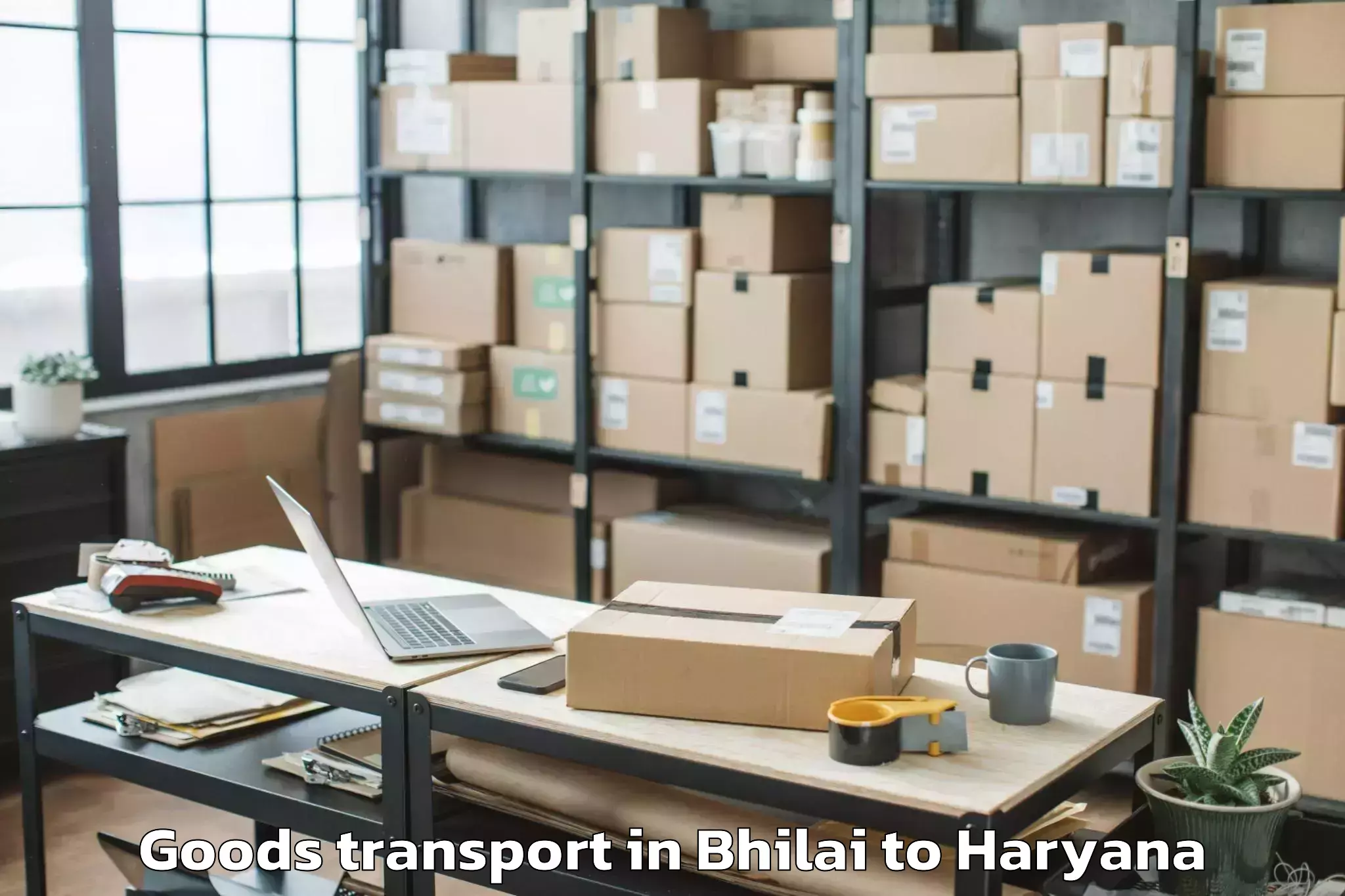 Bhilai to Shahbad Goods Transport